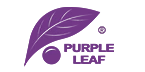 go to PURPLE LEAF